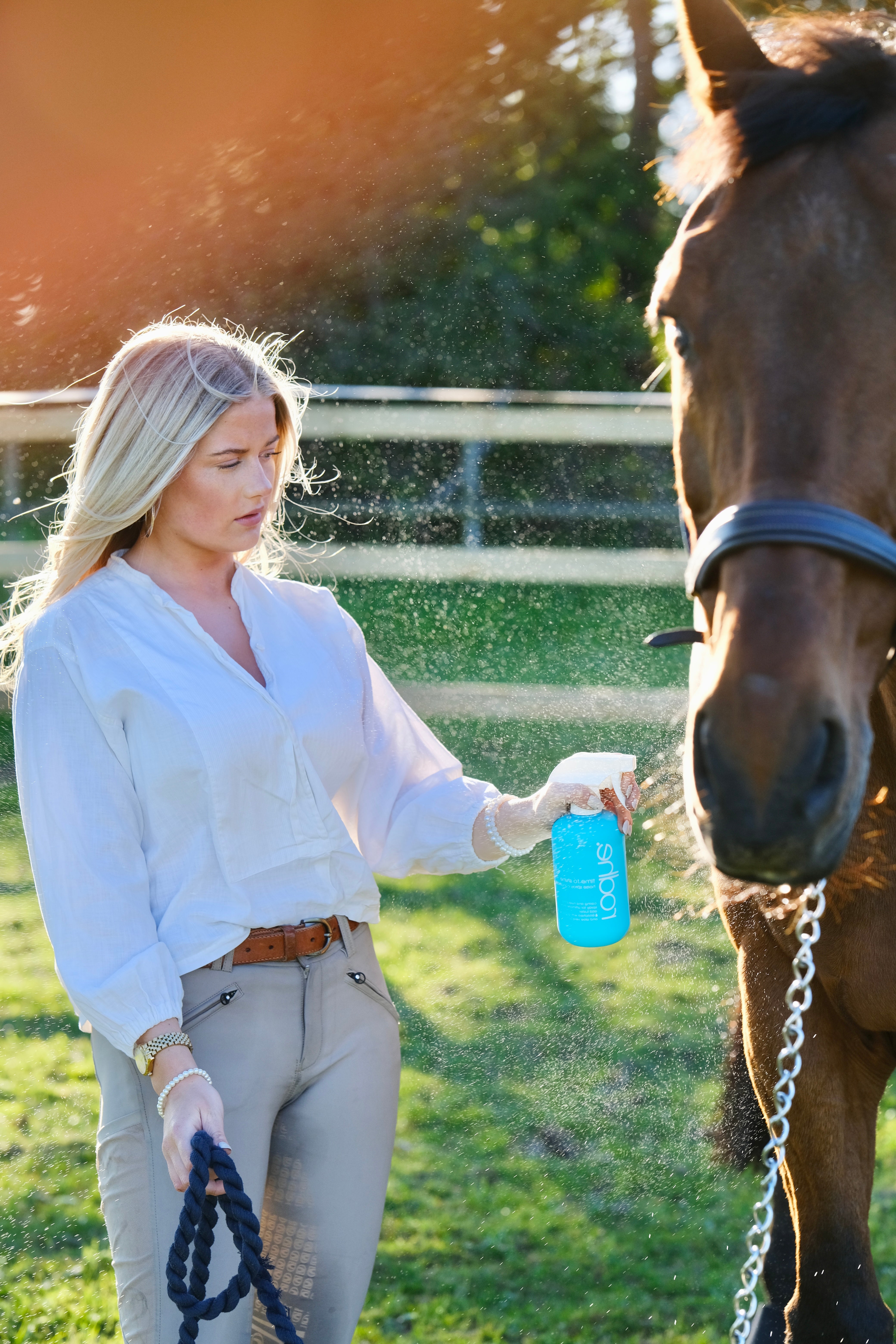 time to shine spray conditioner