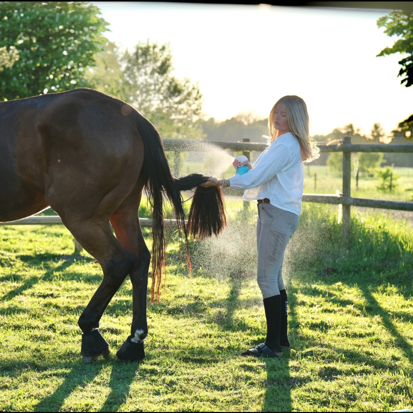 time to shine spray conditioner